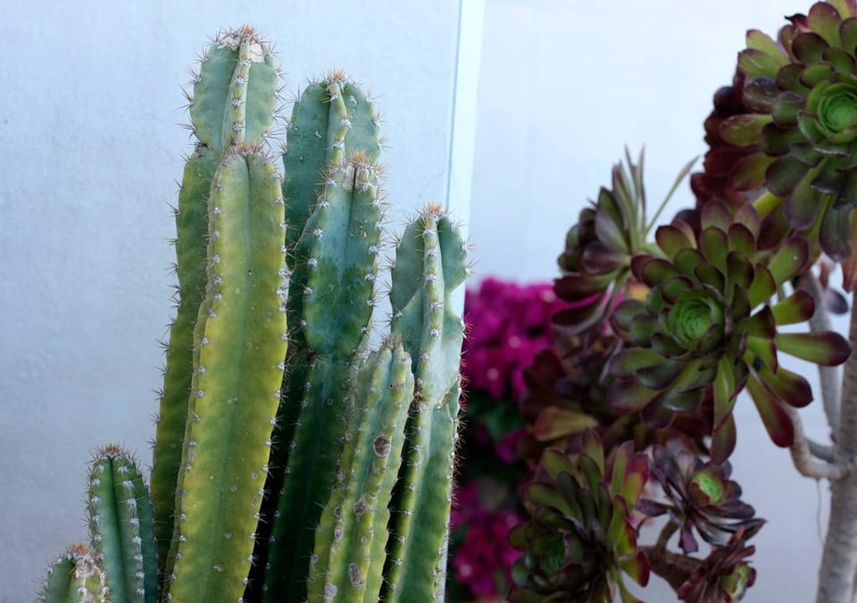 Decorative detail