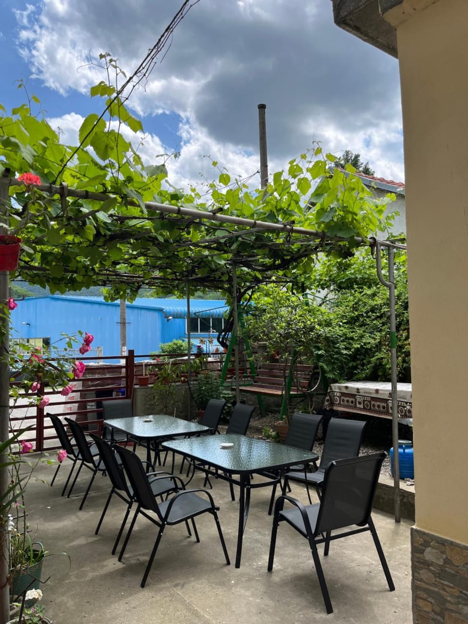Day, Natural landscape, Dining area