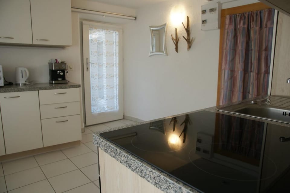 Al Centrale di Piazzogna Apartment in Canton of Ticino