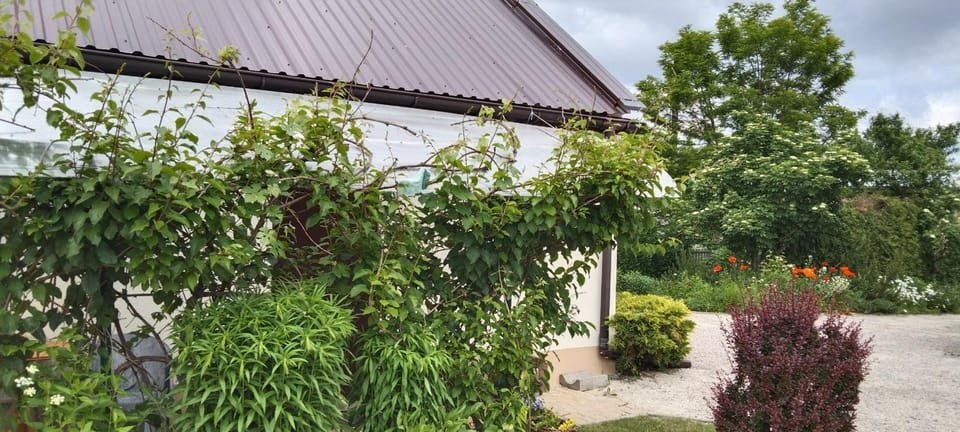 Domek w Ćmińsku House in Poland