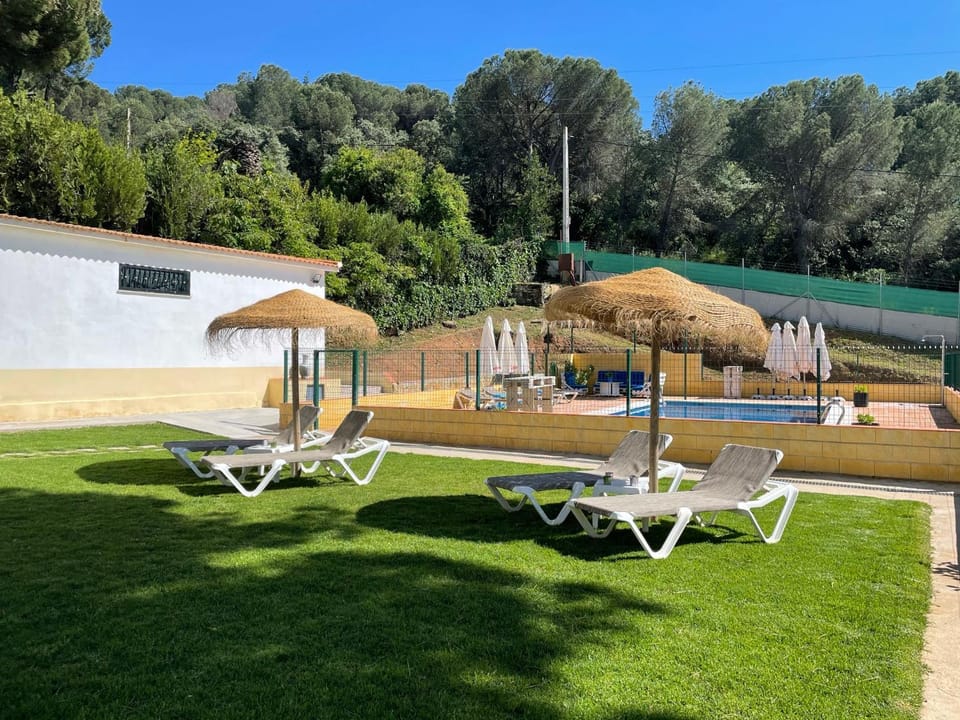 Patio, Garden, Swimming pool