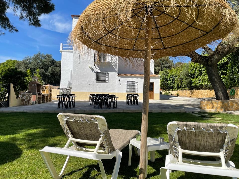 Patio, Garden