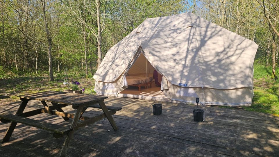 DGG Woodland Escape Luxury tent in South Somerset District