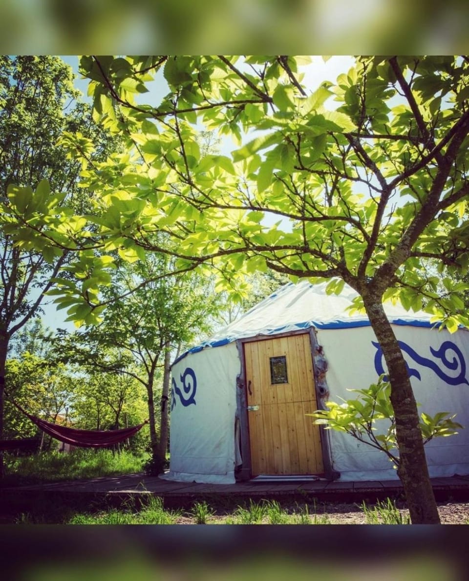 DGG Woodland Escape Luxury tent in South Somerset District