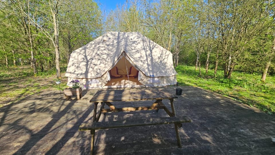 DGG Woodland Escape Luxury tent in South Somerset District