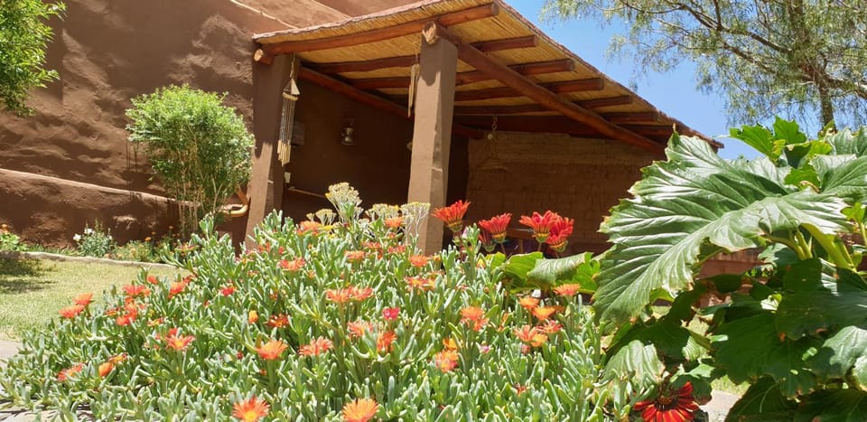 Patio, Patio, Off site, Day, Natural landscape, Garden, Garden, Garden view, Garden view, Inner courtyard view