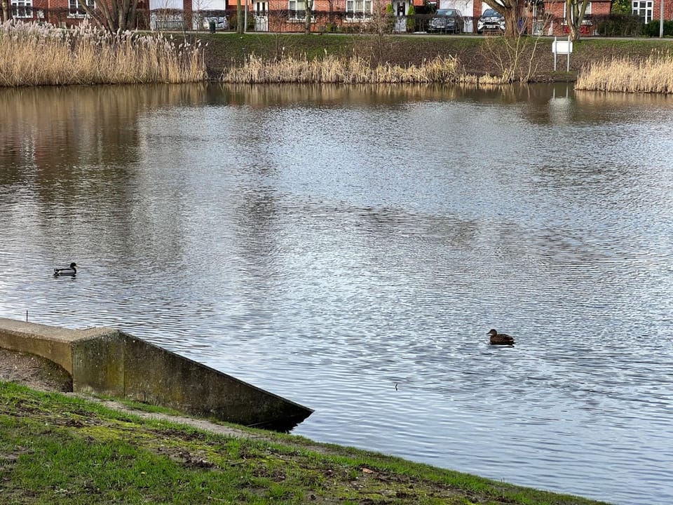 Day, Lake view