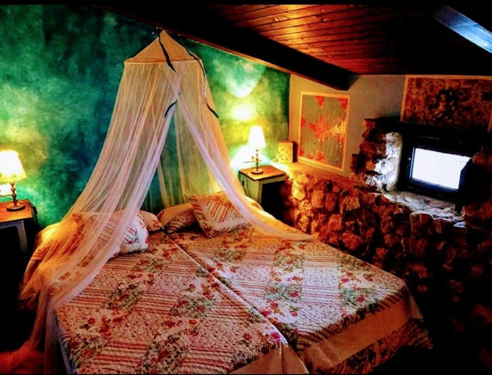 Communal lounge/ TV room, Bed, TV and multimedia, Bedroom