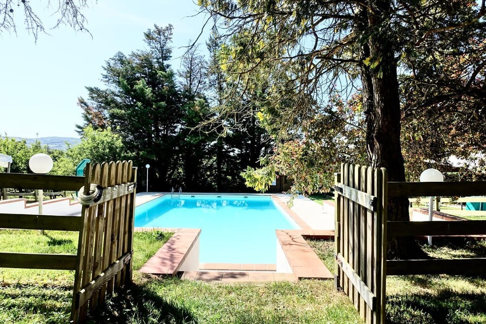 Garden, Pool view, Swimming pool