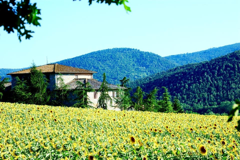 Natural landscape, View (from property/room)