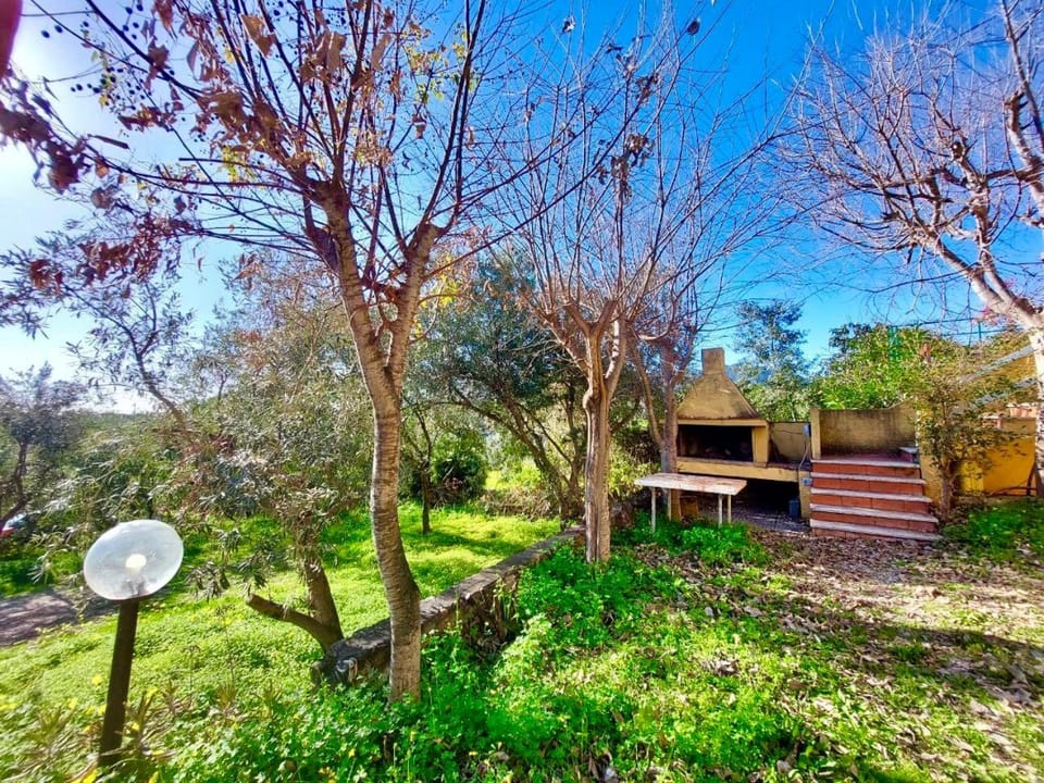 BBQ facilities, Garden