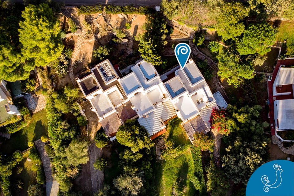 Bird's eye view, View (from property/room)