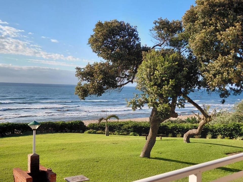 Garden, Garden view, Sea view