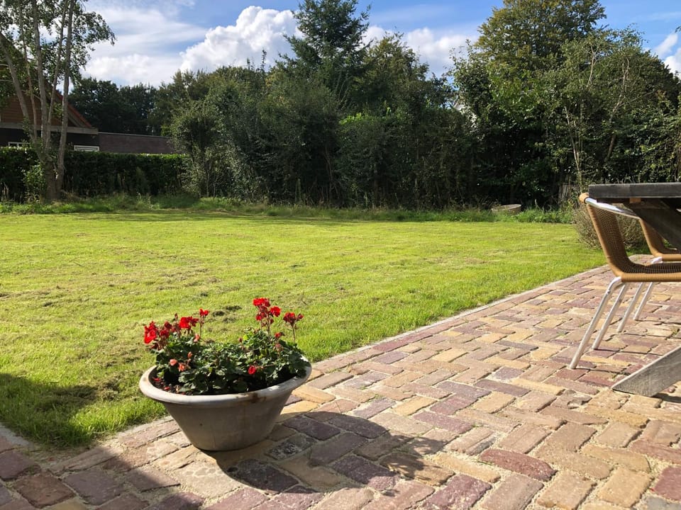 Knusse vakantiewoning Valthe House in Drenthe (province)