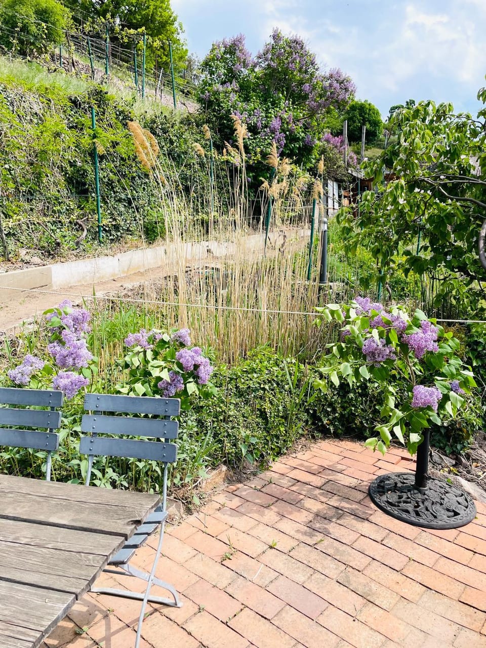 Garden, Balcony/Terrace