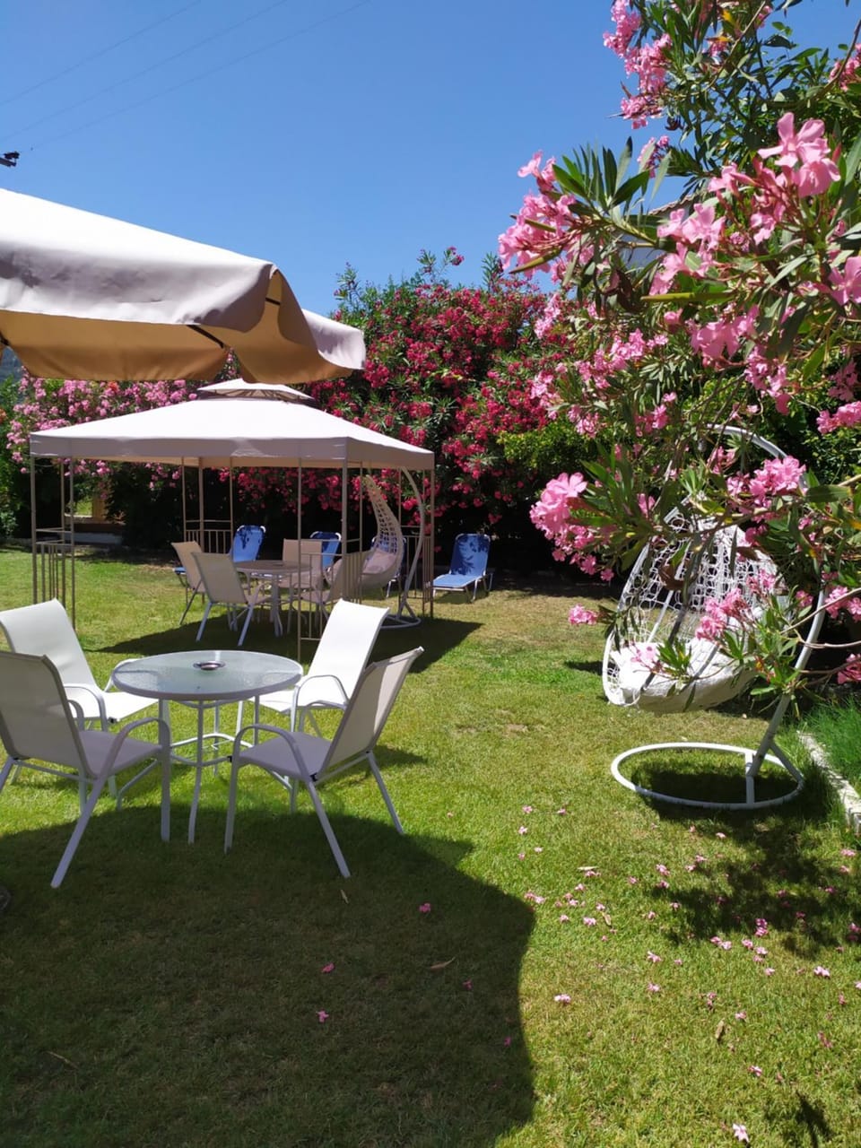 Studios Periklis Bed and Breakfast in Thasos