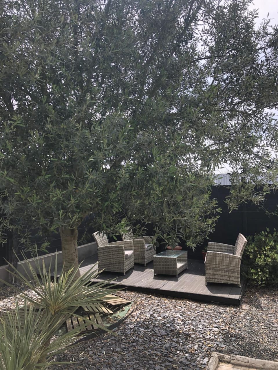 Garden view