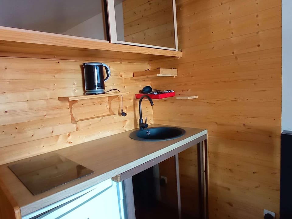 Charmant appart pour 5 pers, balcon, départ skis aux pieds, équipements top ! - FR-1-545-19 Apartment in Les Allues