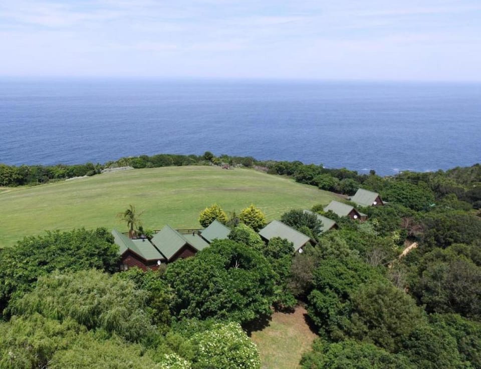 Bird's eye view, Garden, View (from property/room), Sea view
