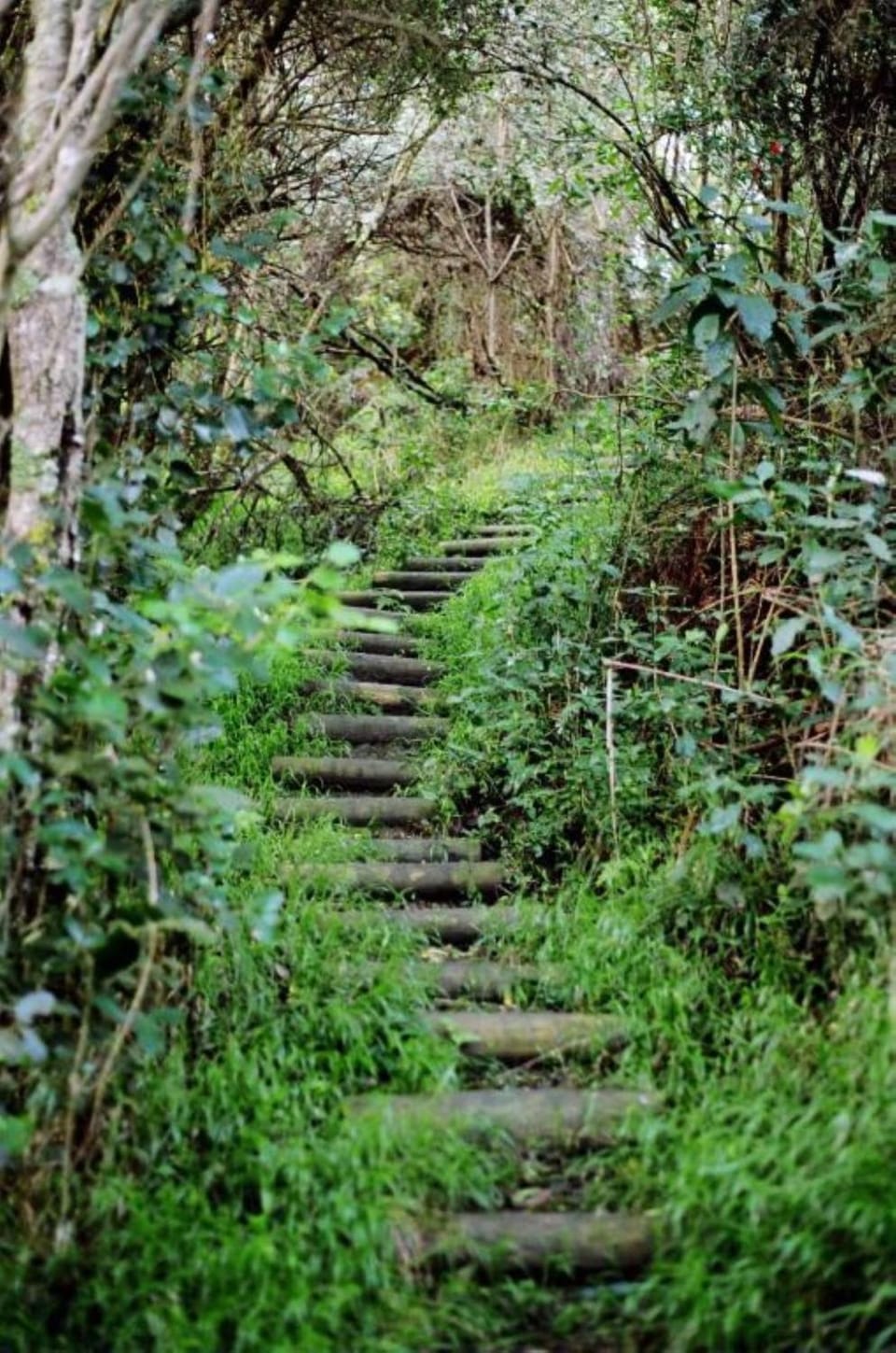 Activities, Hiking