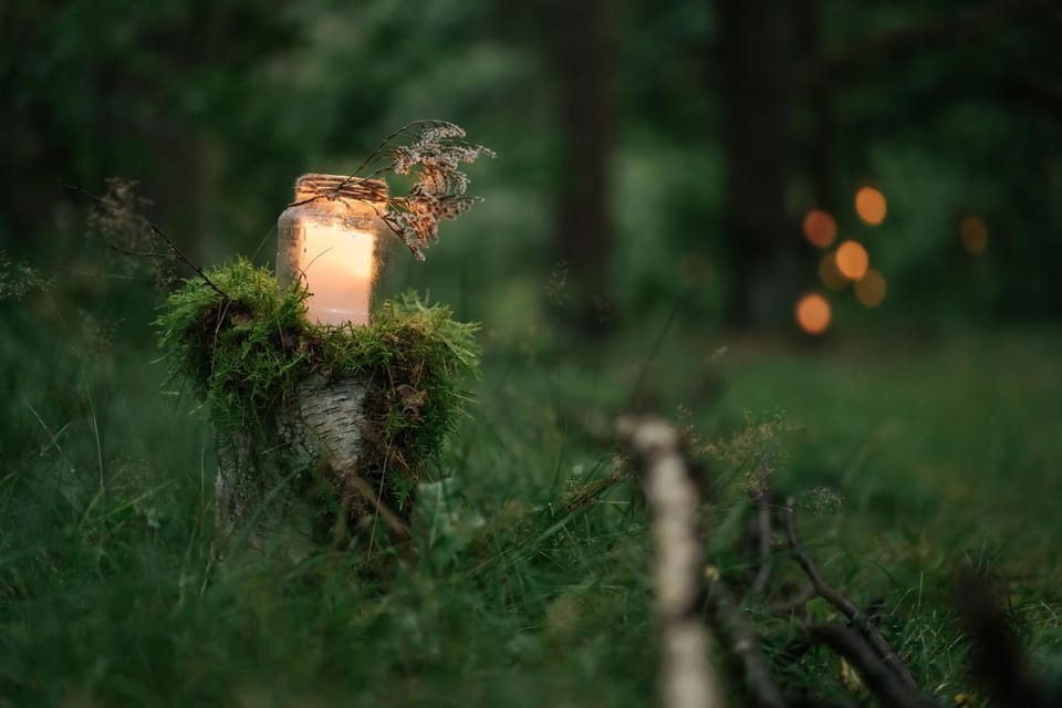 Natural landscape, Garden