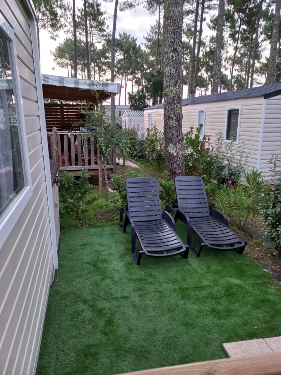 Garden, Garden view