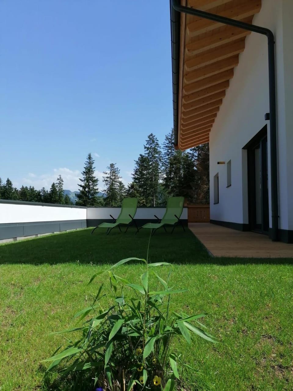 Day, Garden