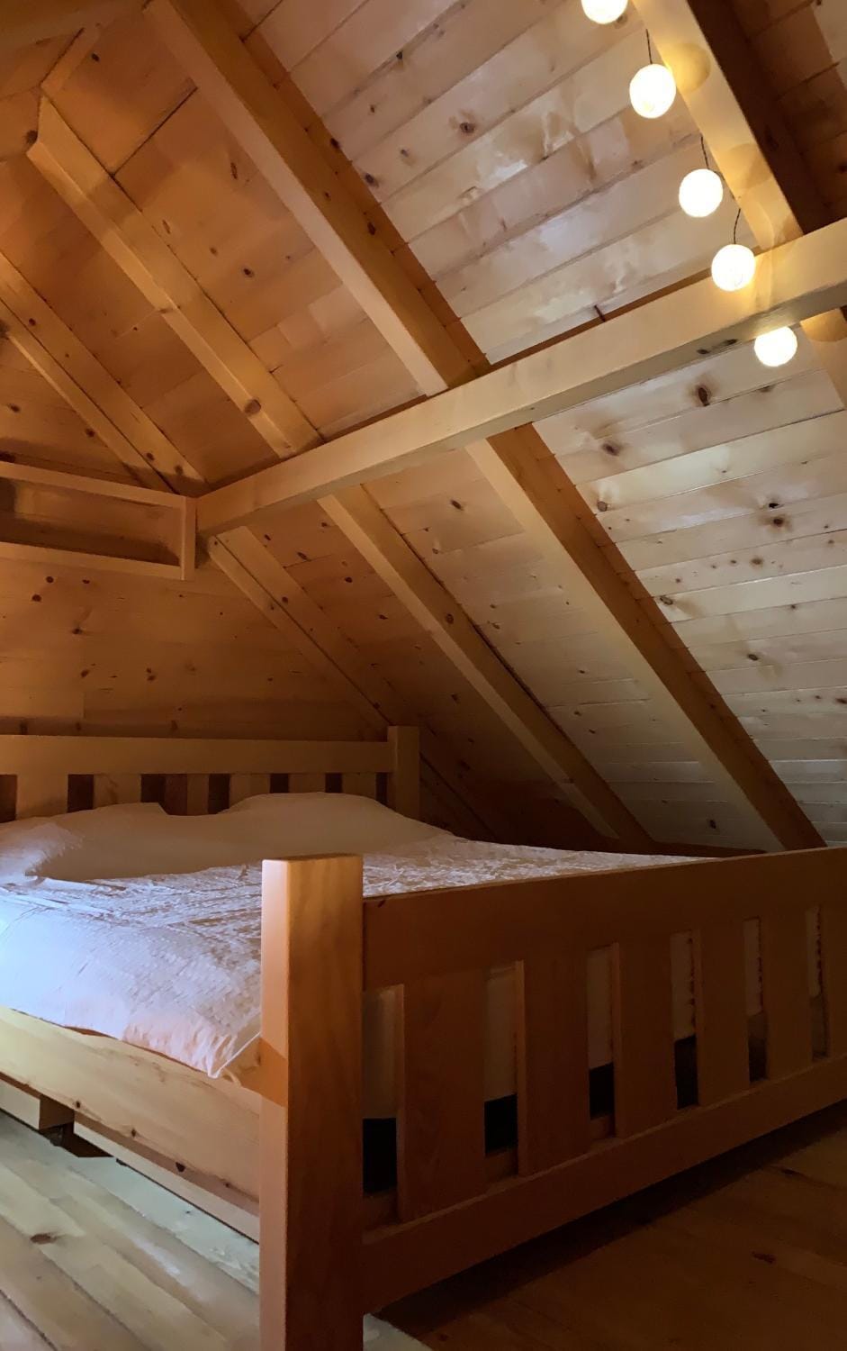 Drinska Amazonija, brvanara na obali Drine House in Zlatibor District, Serbia