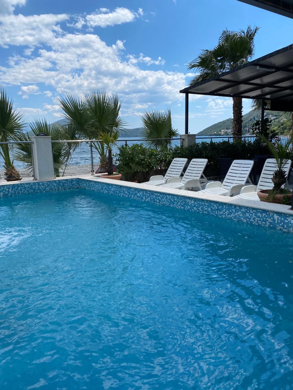 Hotel Vienna Bed and Breakfast in Montenegro