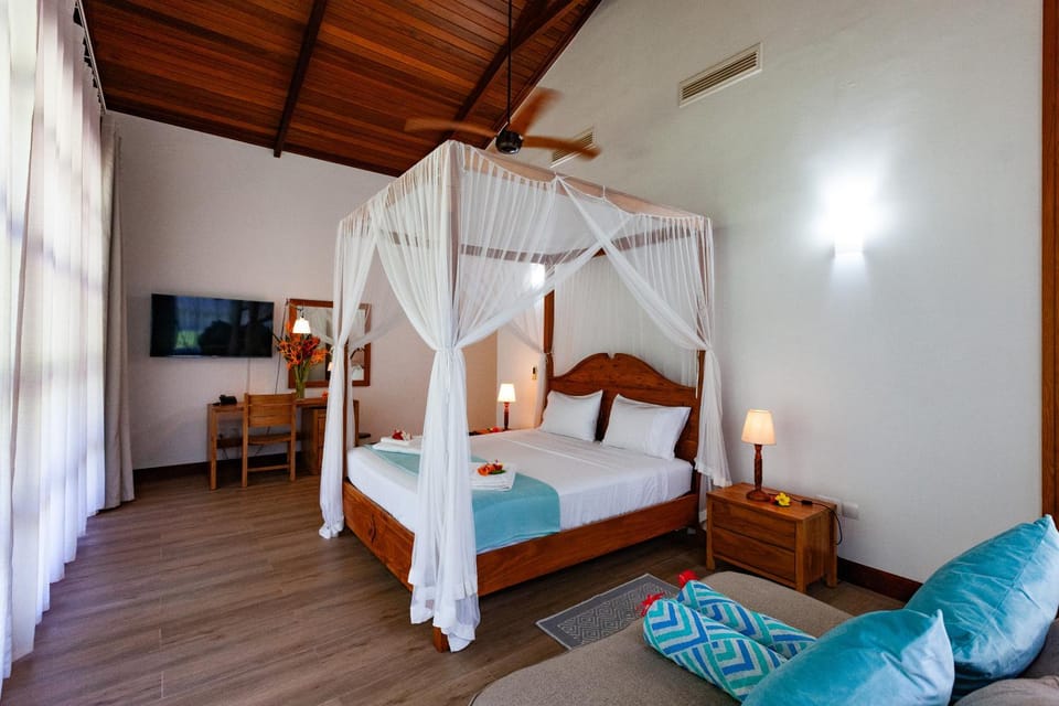 Bed, TV and multimedia, Photo of the whole room