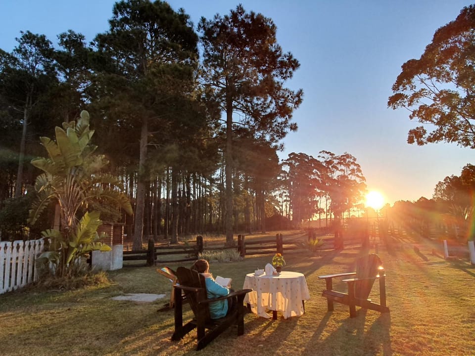 Natural landscape, Garden, Garden view, Sunset