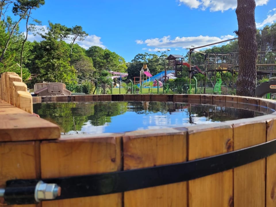 Property building, Natural landscape, Swimming pool