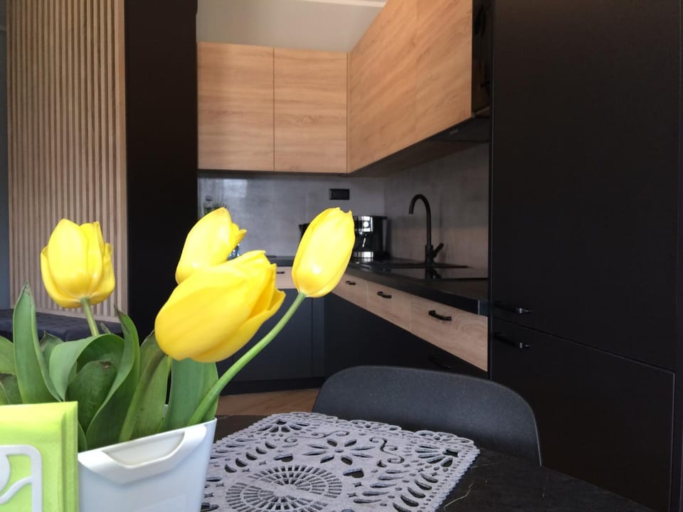 Apartament Malta Poznań Apartment in Poznan
