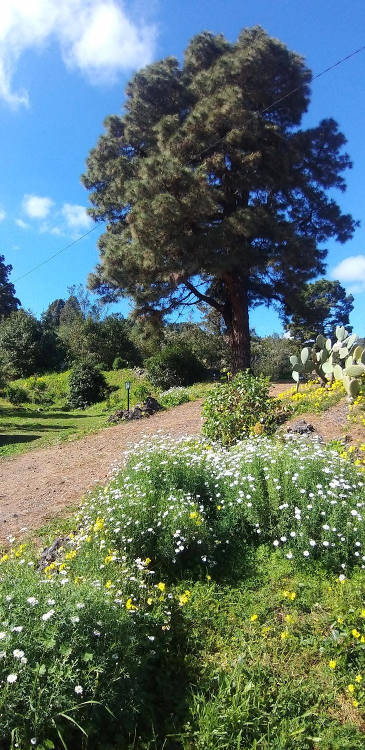 Natural landscape, Garden