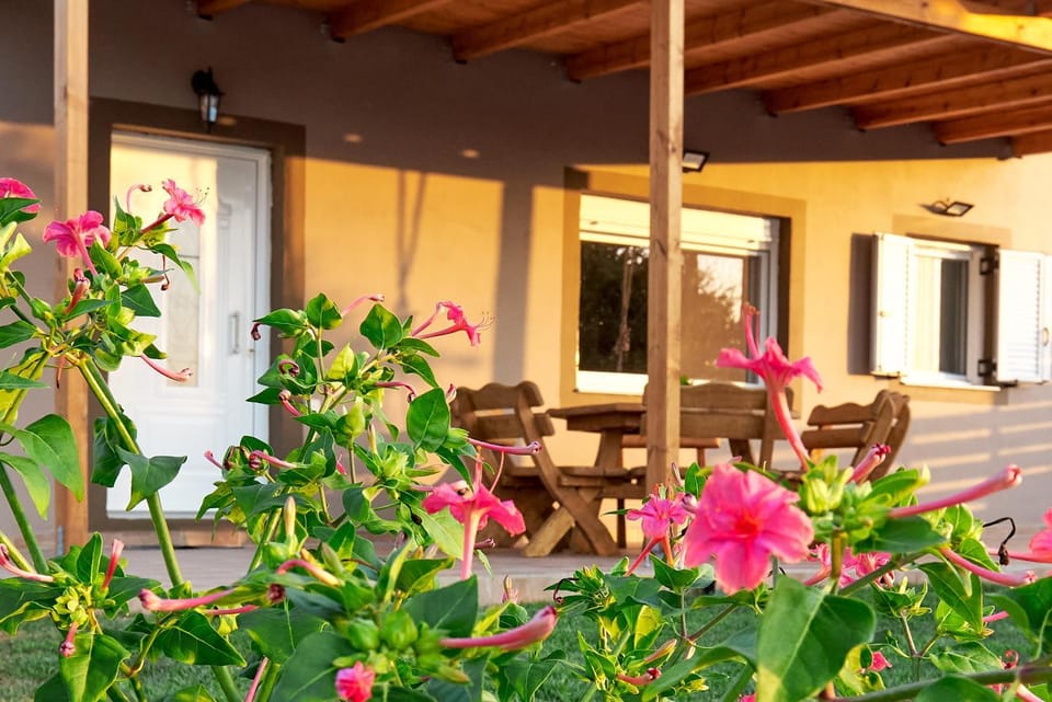 Property building, Patio, Balcony/Terrace