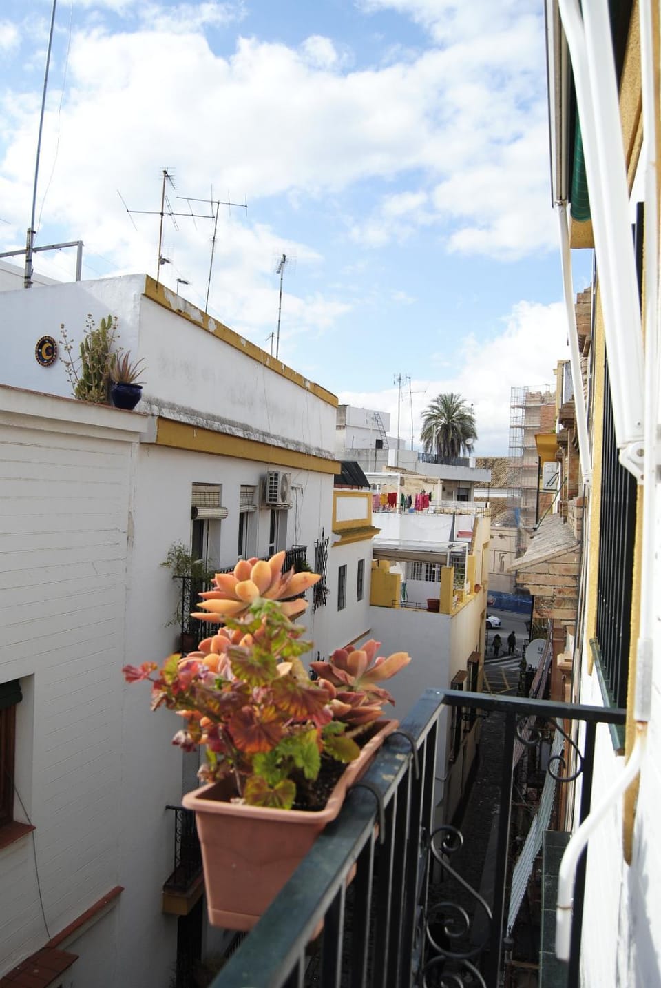 Balcony/Terrace, Street view