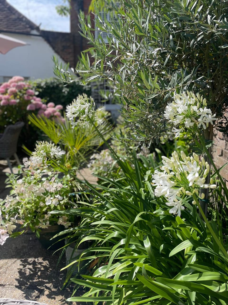 The Courtyard House in Chichester
