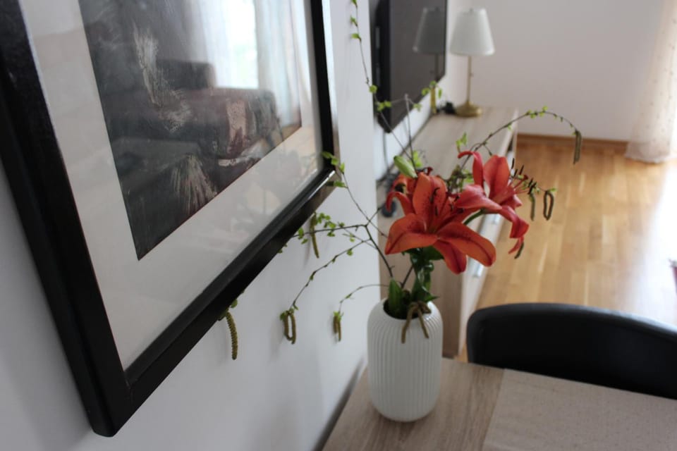 Apartment Anagastum Apartment in Montenegro