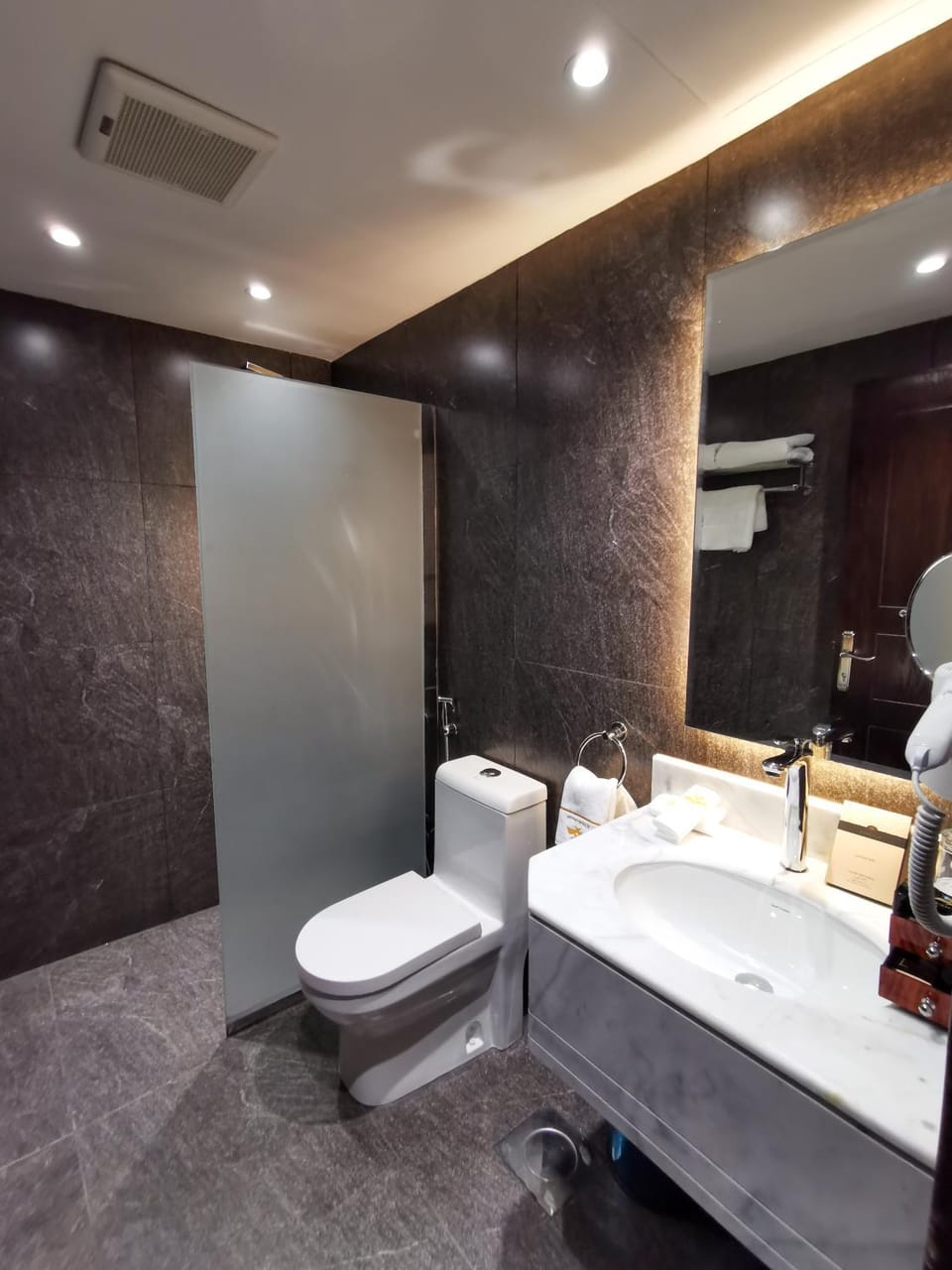 Toilet, Bathroom