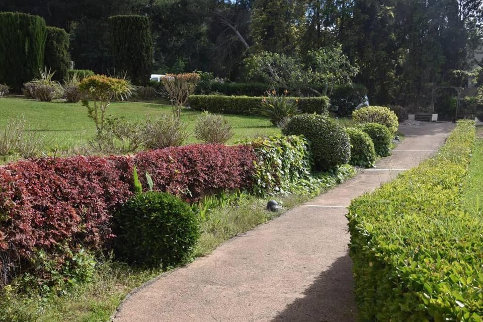 Garden, Parking