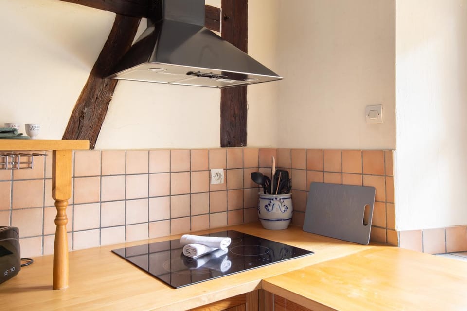 Gite "Le Sylvaner" à Riquewihr Apartment in Grand Est