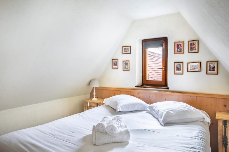 Gite "Le Klevner" à Riquewihr Apartment in Grand Est