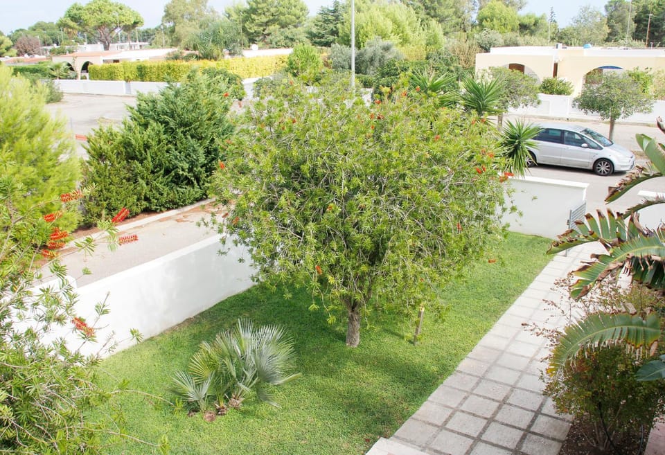 Garden, Garden view