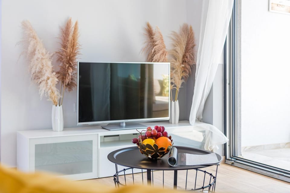 TV and multimedia