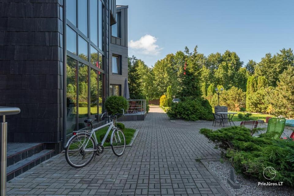 Day, Garden, Garden, Cycling, Garden view