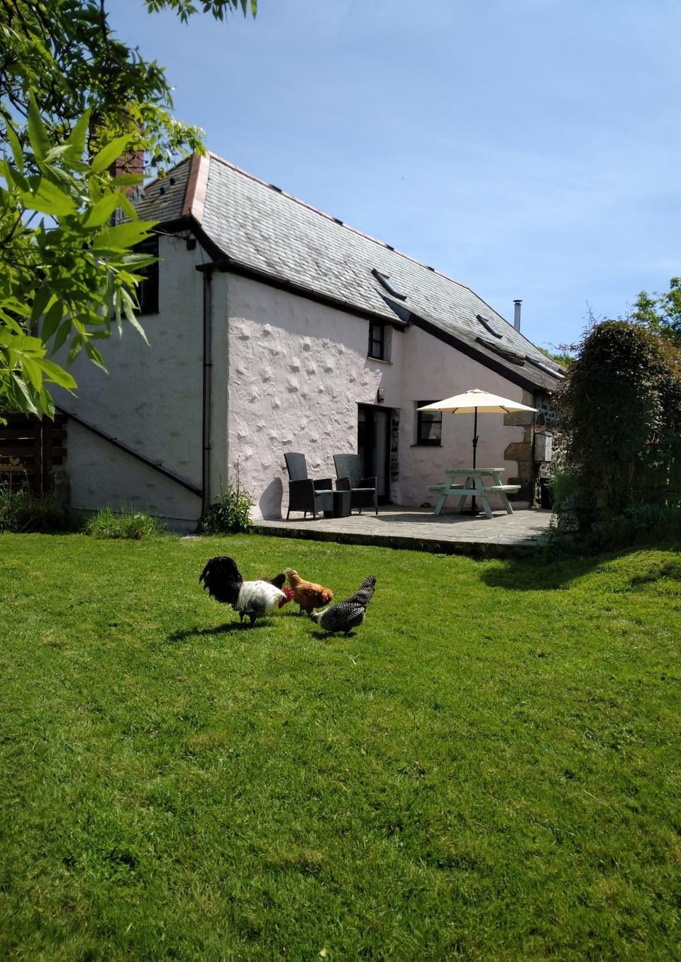 Property building, Spring, Garden, Seating area