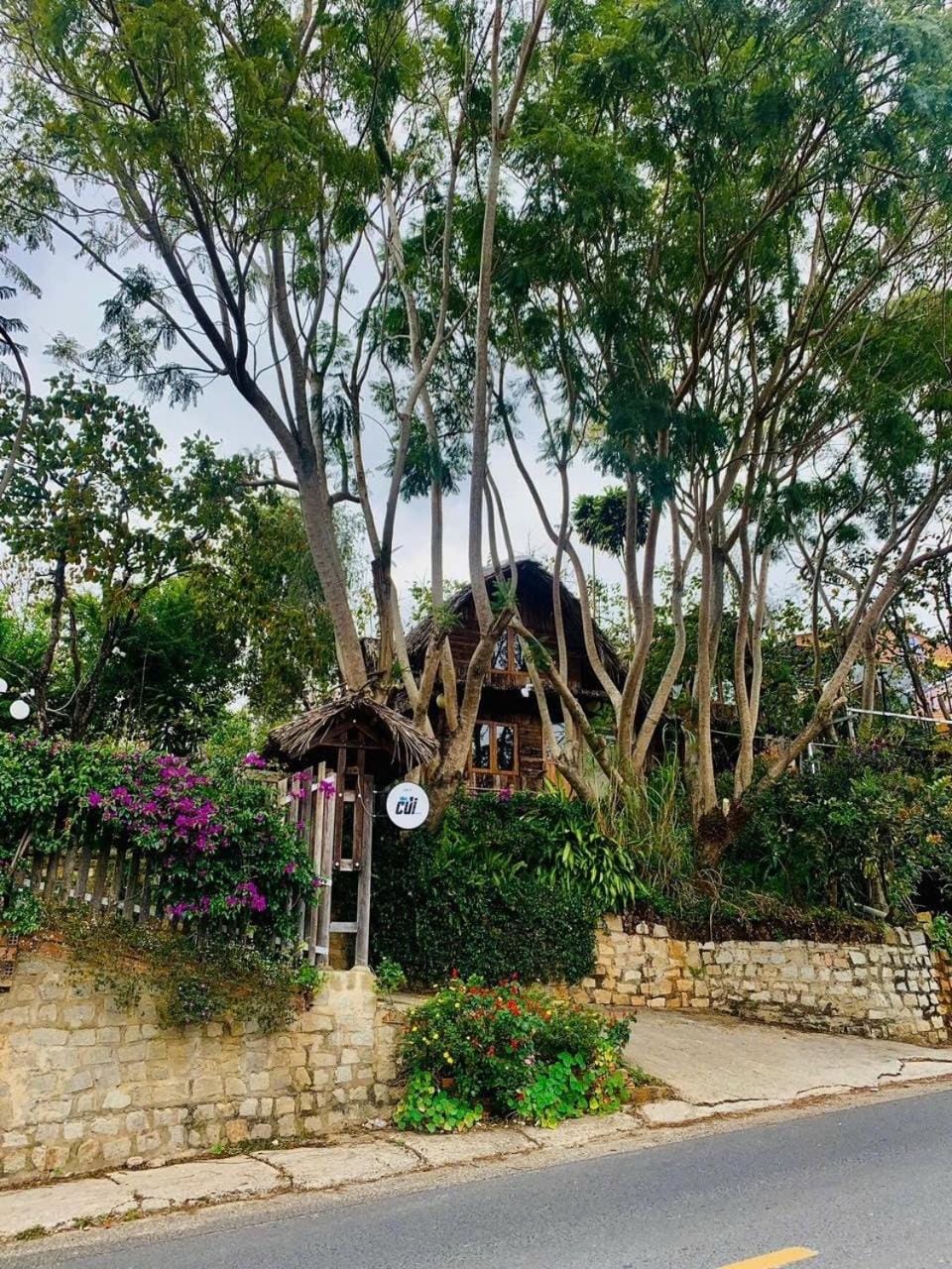 Đà Lạt Củi Homestay Country House in Dalat