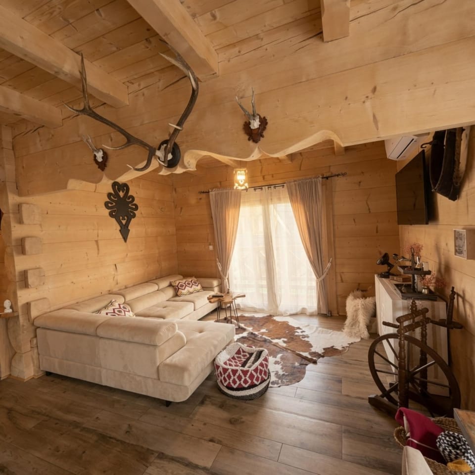 Living room, Seating area, air conditioner