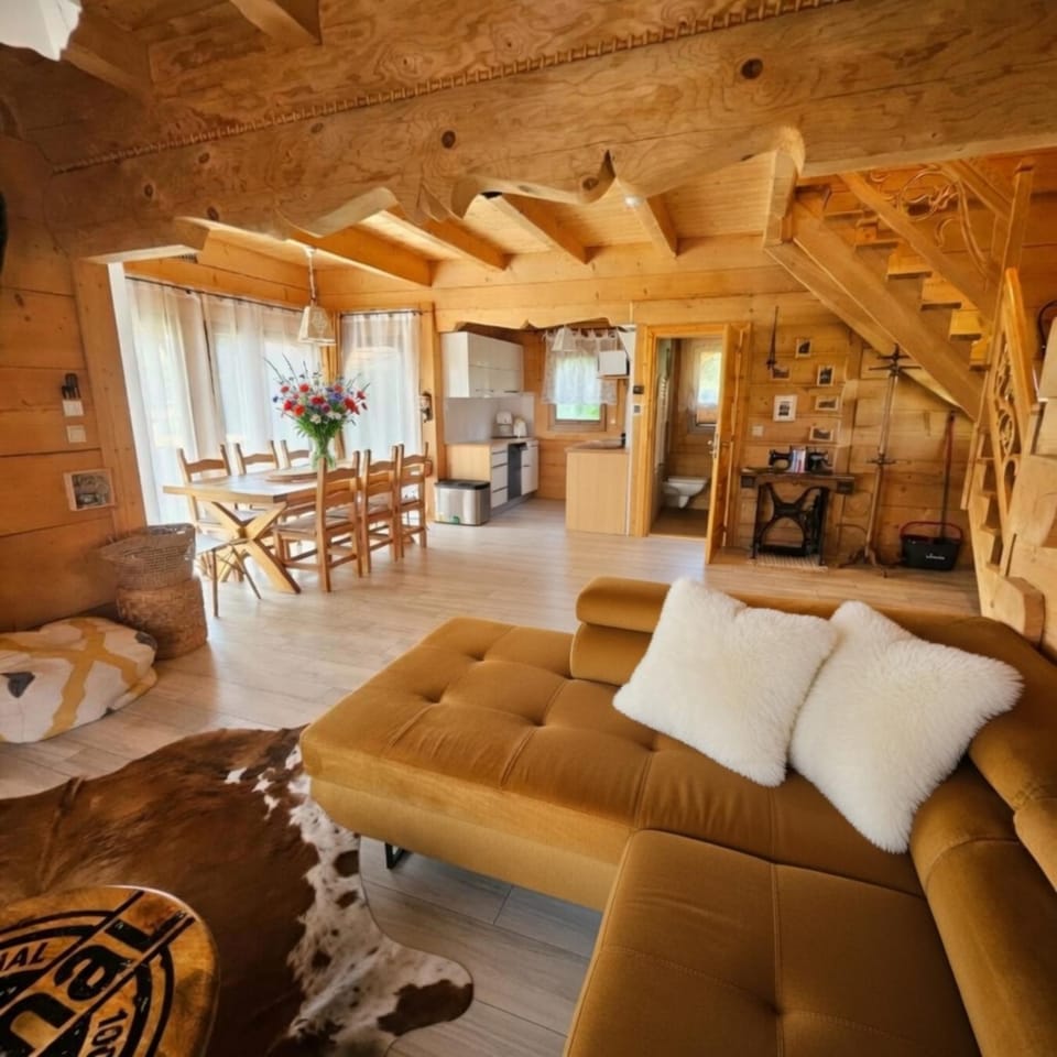 Living room, Seating area, Dining area, air conditioner