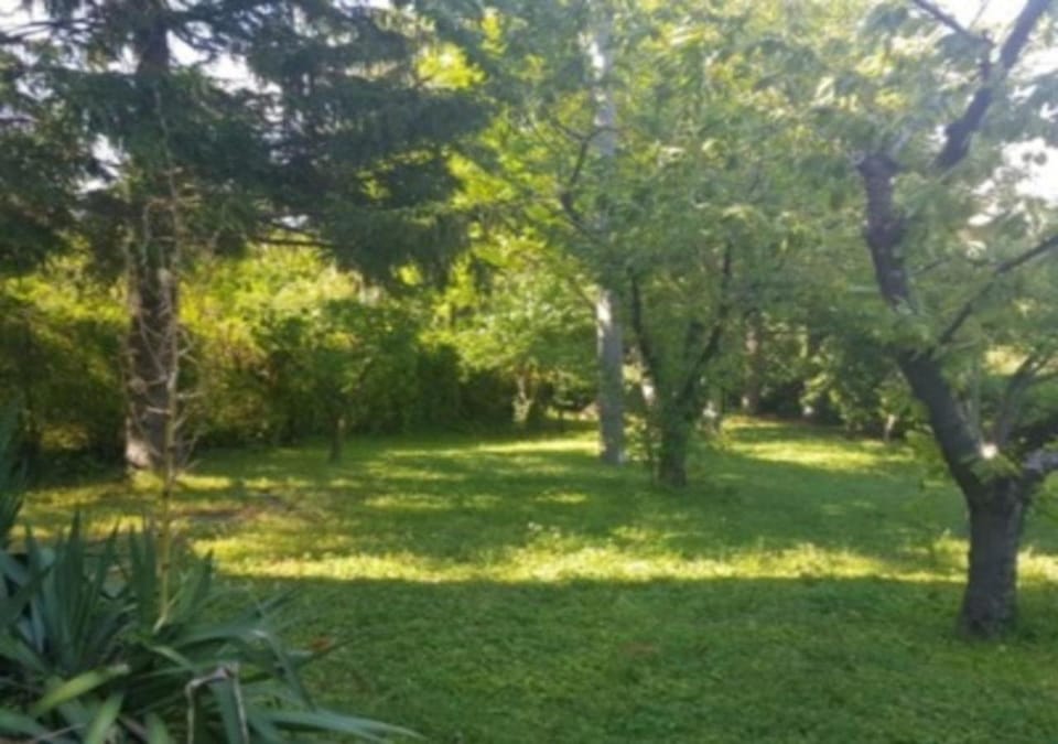 Garden, Garden, Garden view